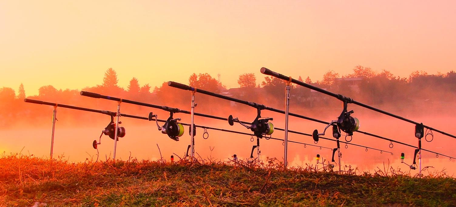 Moara Vlasiei 2 6 - 6 oct. - dsc02713.JPG